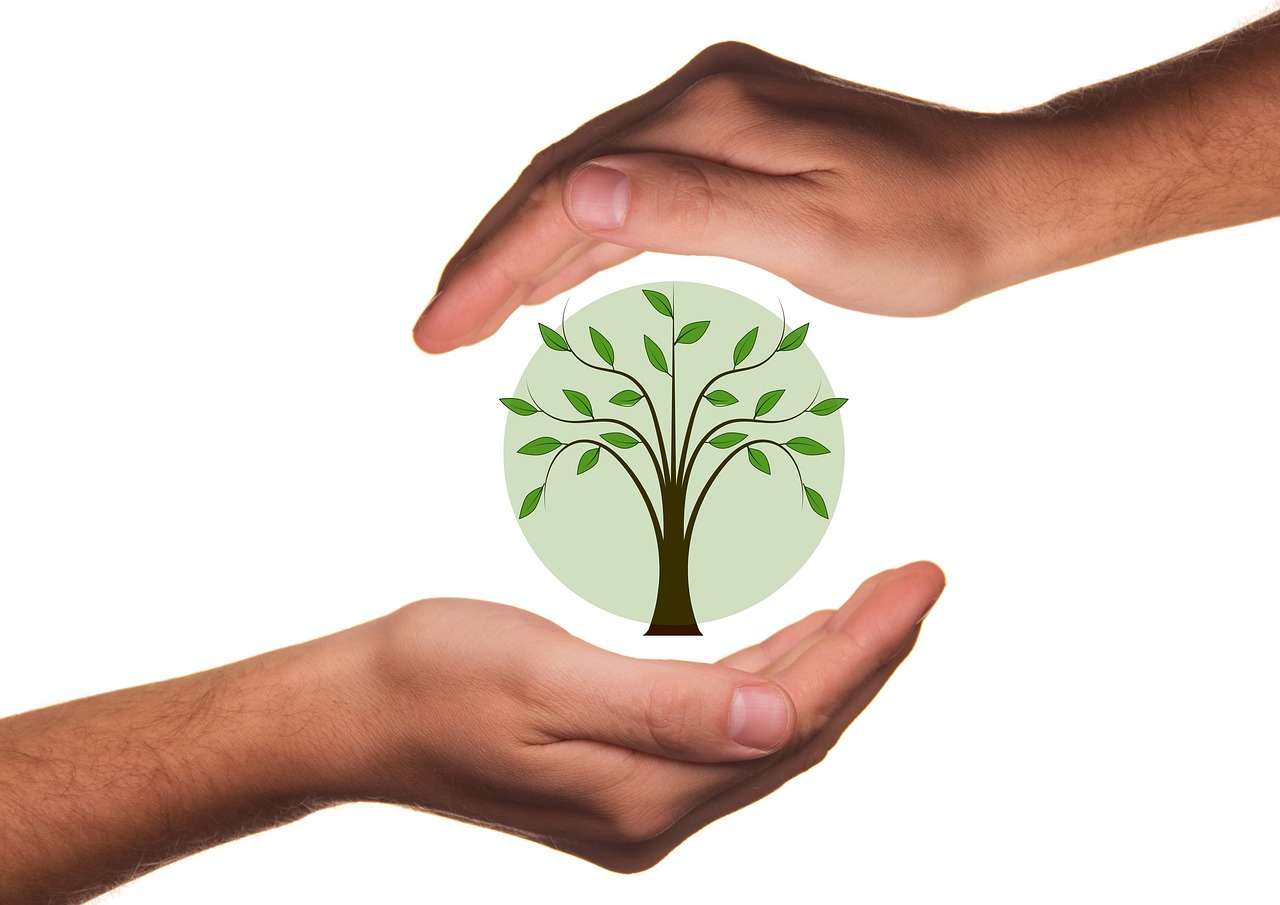 découvrez des pratiques efficaces de conservation de l'eau pour préserver cette précieuse ressource. apprenez comment réduire votre consommation d'eau à la maison, dans votre jardin et dans votre communauté, tout en contribuant à la protection de l'environnement.