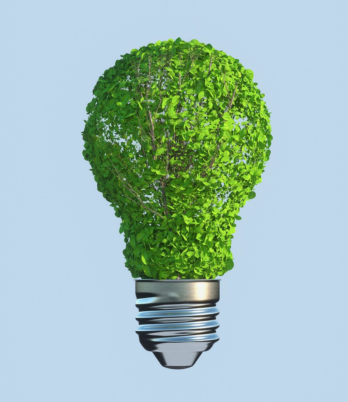 découvrez l'importance de la durabilité dans notre société moderne. apprenez comment adopter des pratiques responsables pour un avenir plus vert et durable, en préservant les ressources de notre planète pour les générations futures.