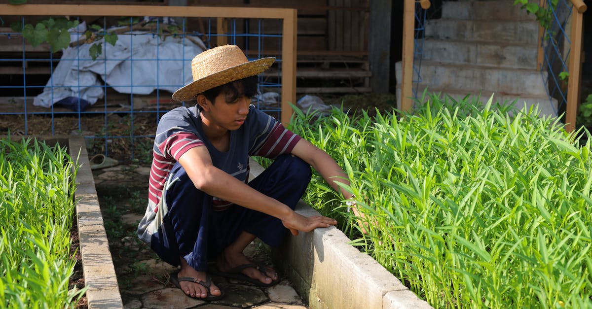 découvrez l'agriculture durable : une approche innovante qui préserve l'environnement tout en garantissant des récoltes abondantes et de qualité. engageons-nous ensemble pour un avenir agricole respectueux de la planète.