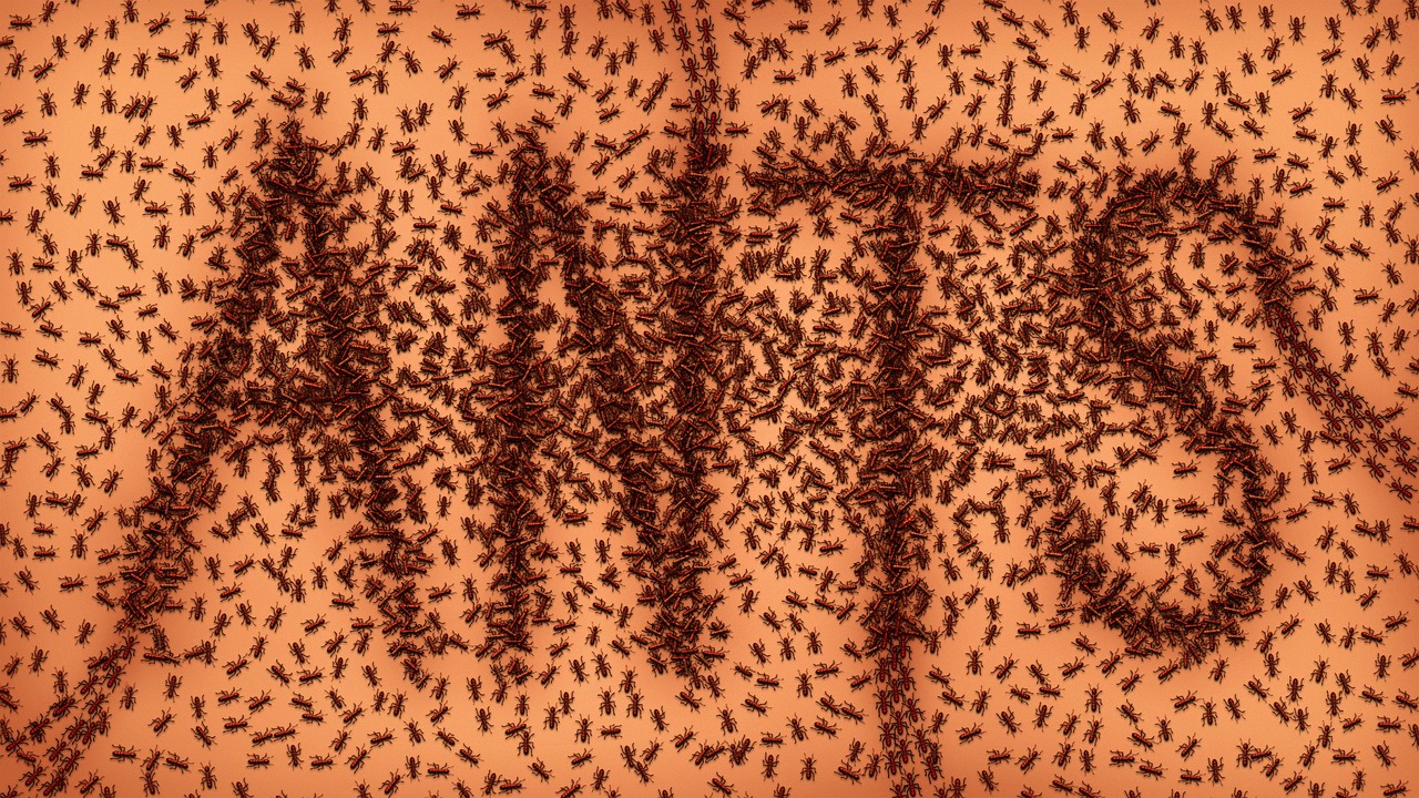 découvrez la puissance de la synergie, un concept clé pour optimiser la collaboration et maximiser les résultats. apprenez comment l'union de compétences et d'idées peut transformer vos projets en succès.