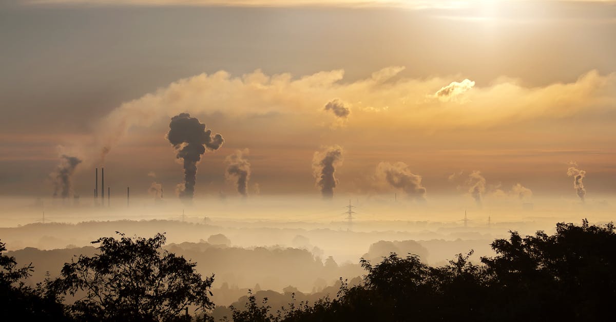 découvrez comment atteindre la neutralité carbone et contribuer à un avenir durable. explorez les stratégies, les avantages et l'importance de réduire votre empreinte carbone pour lutter contre le changement climatique.