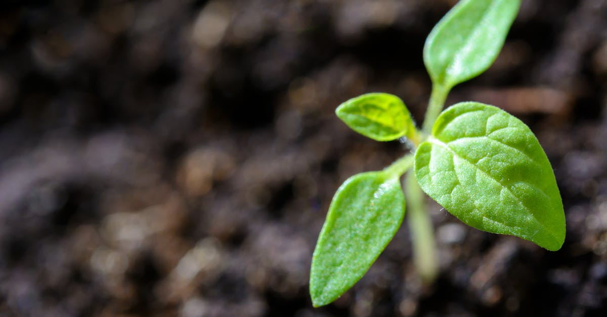 découvrez comment la durabilité influence notre monde à travers des pratiques respectueuses de l'environnement, des innovations écologiques et des choix de consommation éclairés. engagez-vous pour un avenir durable et apprenez des stratégies pour réduire votre empreinte carbone.