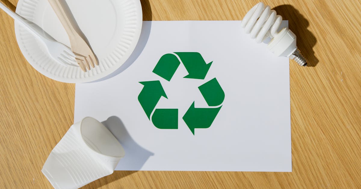 découvrez les ressources renouvelables, une solution durable pour l'avenir de notre planète. apprenez comment l'énergie solaire, éolienne et hydraulique peut réduire notre empreinte carbone et promouvoir une utilisation responsable des ressources naturelles.