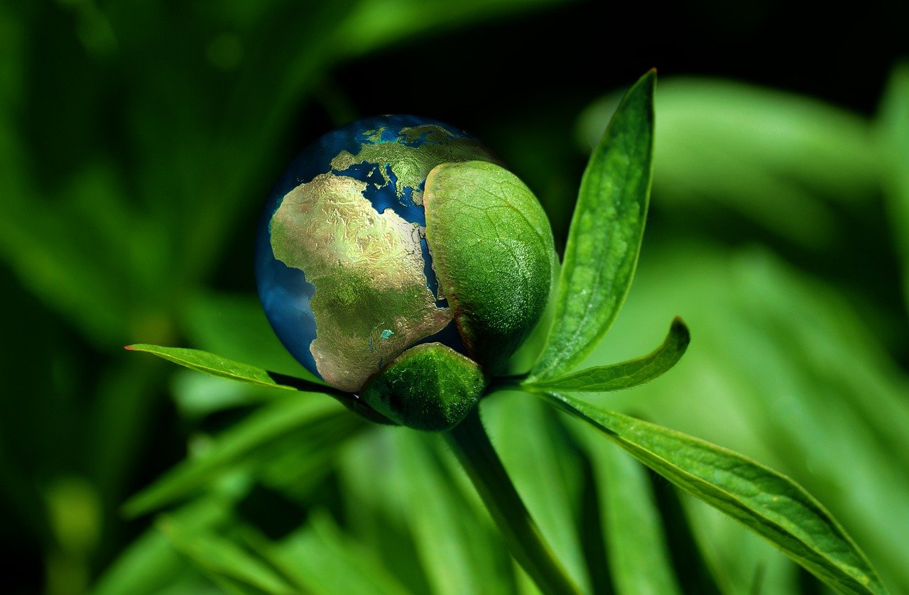 découvrez l'importance de la durabilité dans notre société moderne. apprenez comment adopter des pratiques écoresponsables pour préserver notre planète et assurer un avenir meilleur pour les générations futures.