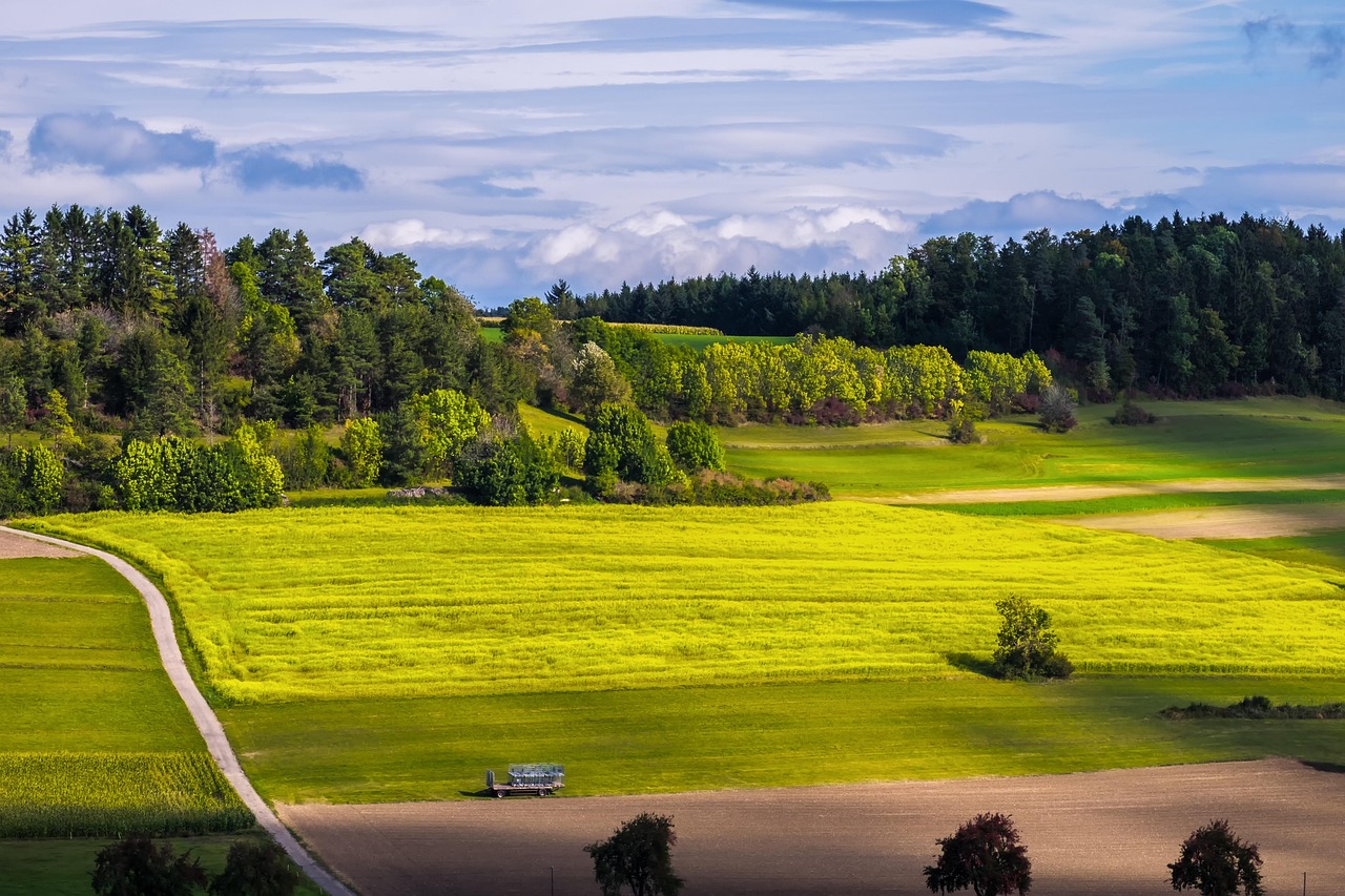 découvrez l'écologie urbaine, une discipline essentielle qui explore les interactions entre les écosystèmes et les environnements urbains. apprenez comment les villes peuvent devenir plus durables, favoriser la biodiversité et améliorer la qualité de vie de leurs habitants.