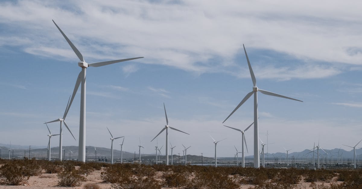 découvrez comment les ressources durables peuvent transformer notre avenir. explorez des solutions innovantes pour préserver l'environnement tout en répondant aux besoins de la société.