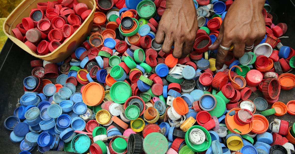 découvrez des conseils pratiques et inspirants pour adopter un mode de vie durable. apprenez à réduire votre empreinte écologique, à consommer de manière responsable et à créer un environnement sain pour les générations futures.