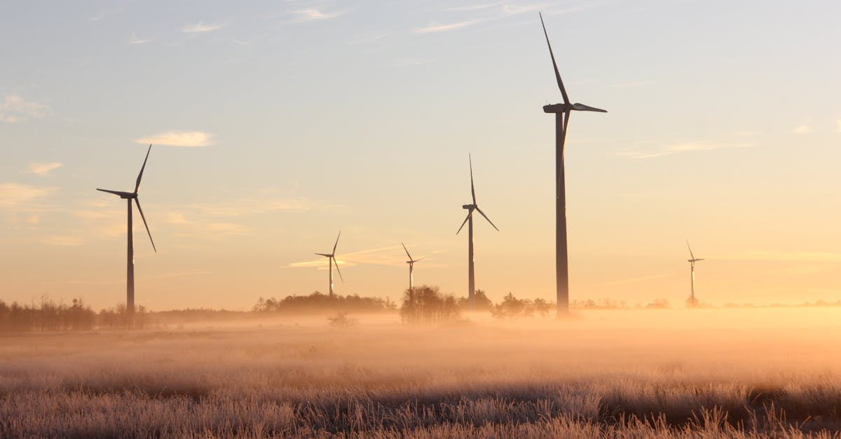 découvrez des solutions durables pour un avenir plus vert. explorez nos conseils et ressources sur la durabilité, l'éco-responsabilité et les innovations visant à préserver notre planète.