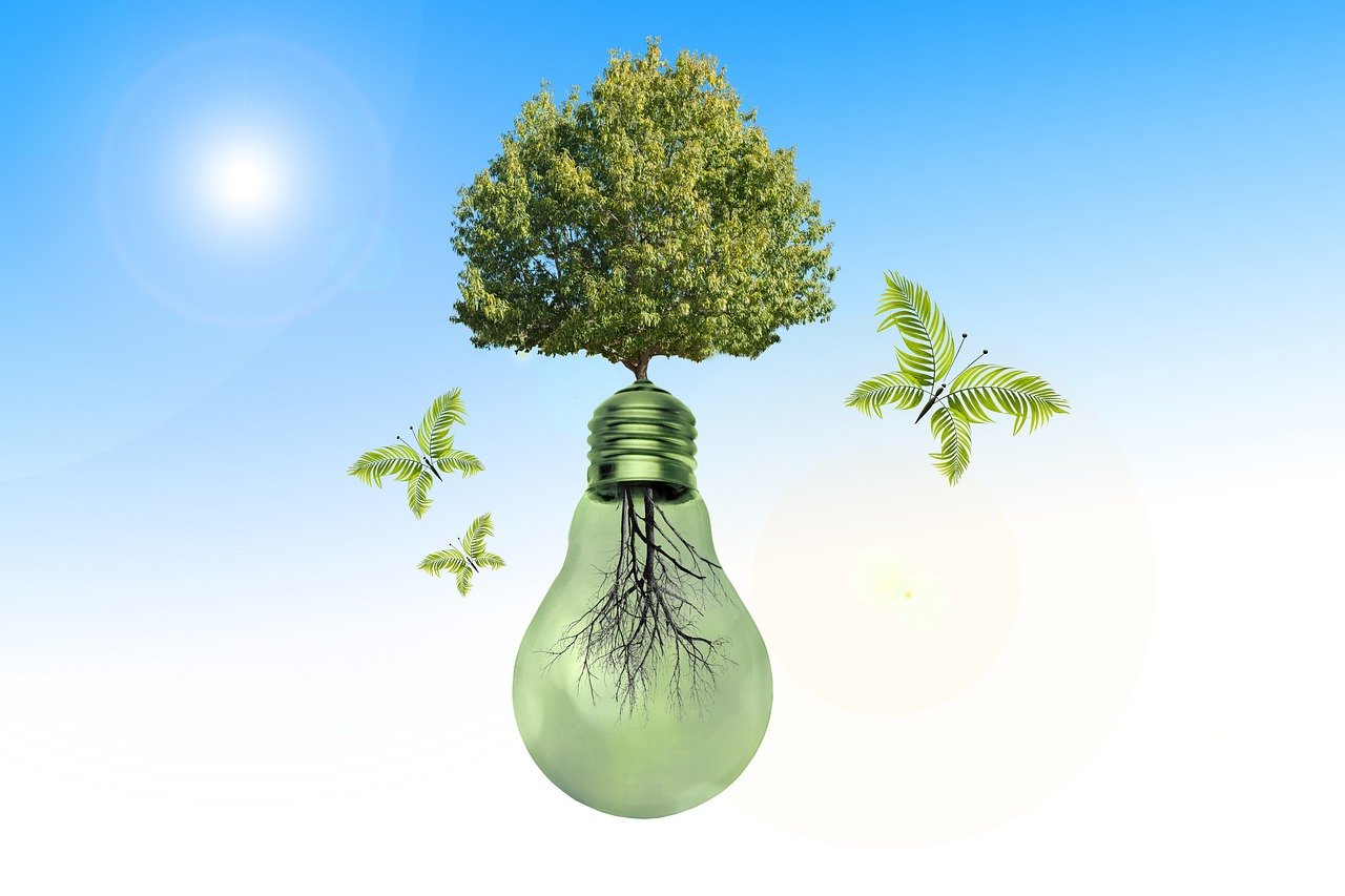 découvrez l'importance des ressources durables pour un avenir respectueux de l'environnement. apprenez comment utiliser et préserver les ressources naturelles tout en répondant aux besoins actuels sans compromettre ceux des générations futures.
