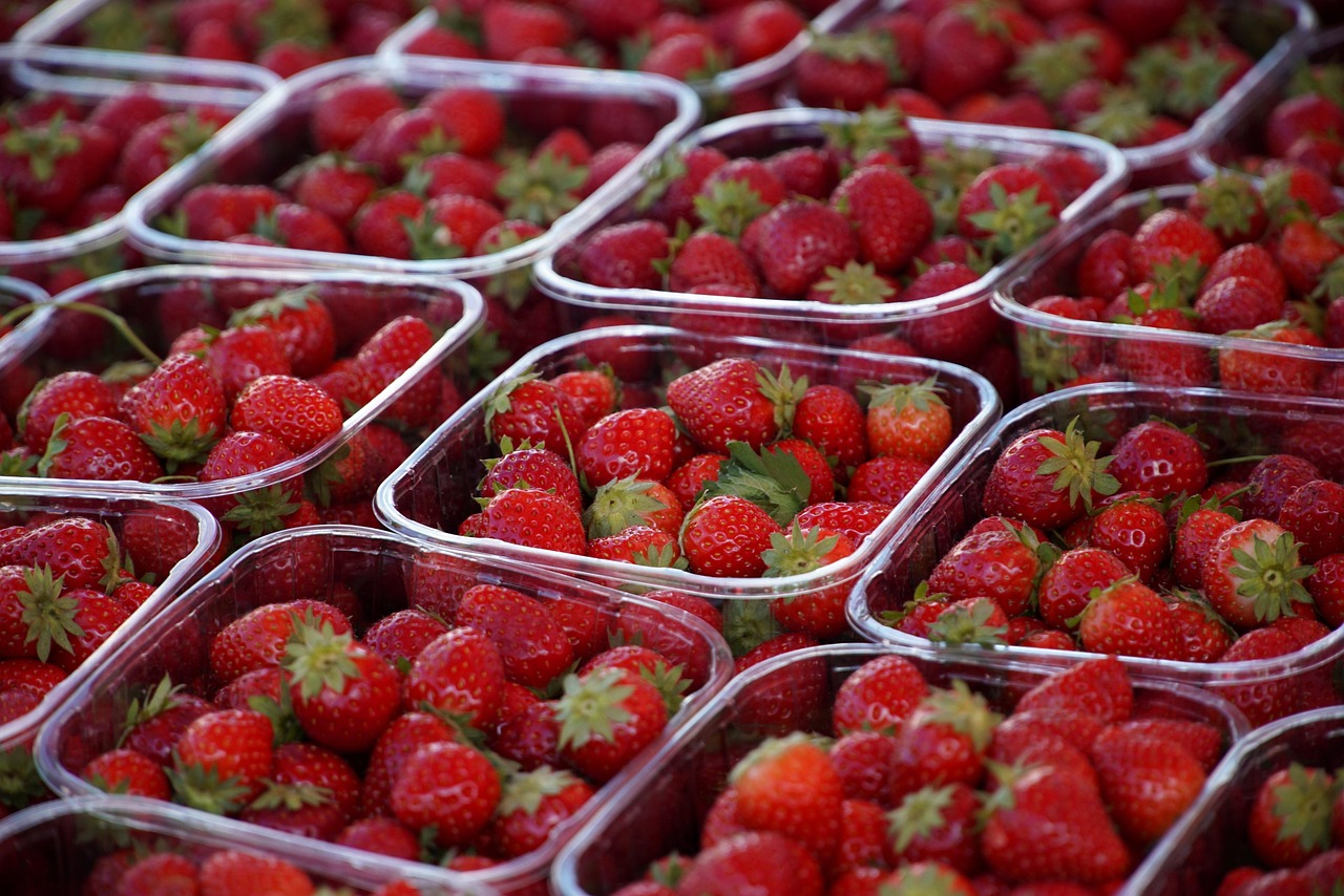 découvrez les principes de l'agriculture durable qui préservent l'environnement tout en garantissant des récoltes abondantes. apprenez comment ces pratiques innovantes peuvent améliorer la qualité des sols, réduire l'usage des produits chimiques et soutenir les communautés agricoles.