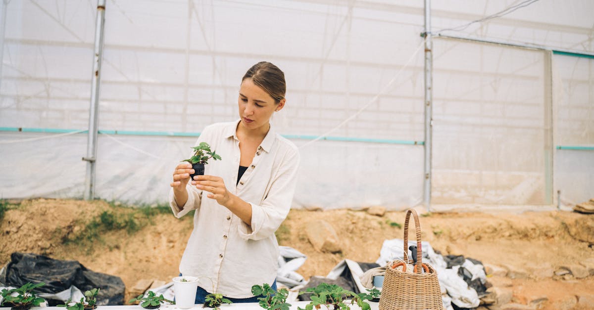 découvrez l'agroécologie, une approche innovante et durable de l'agriculture qui allie respect de l'environnement, biodiversité et pratiques agricoles de proximité. adoptez des méthodes qui favorisent la santé des sols et des écosystèmes tout en garantissant une production alimentaire saine et équitable.