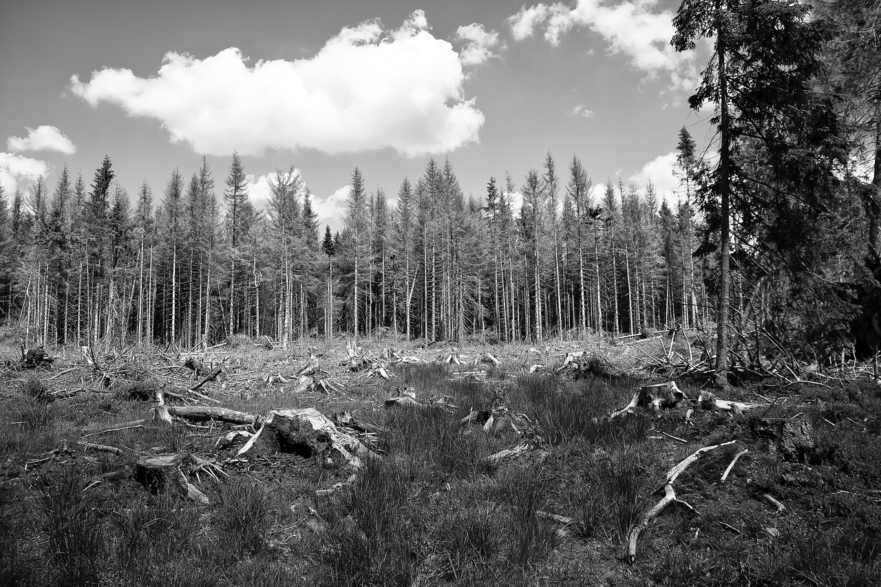 découvrez notre stratégie environnementale innovante qui vise à promouvoir la durabilité, réduire l'empreinte carbone et intégrer des pratiques écologiques dans tous nos processus. engagez-vous avec nous pour un avenir plus vert et responsable.