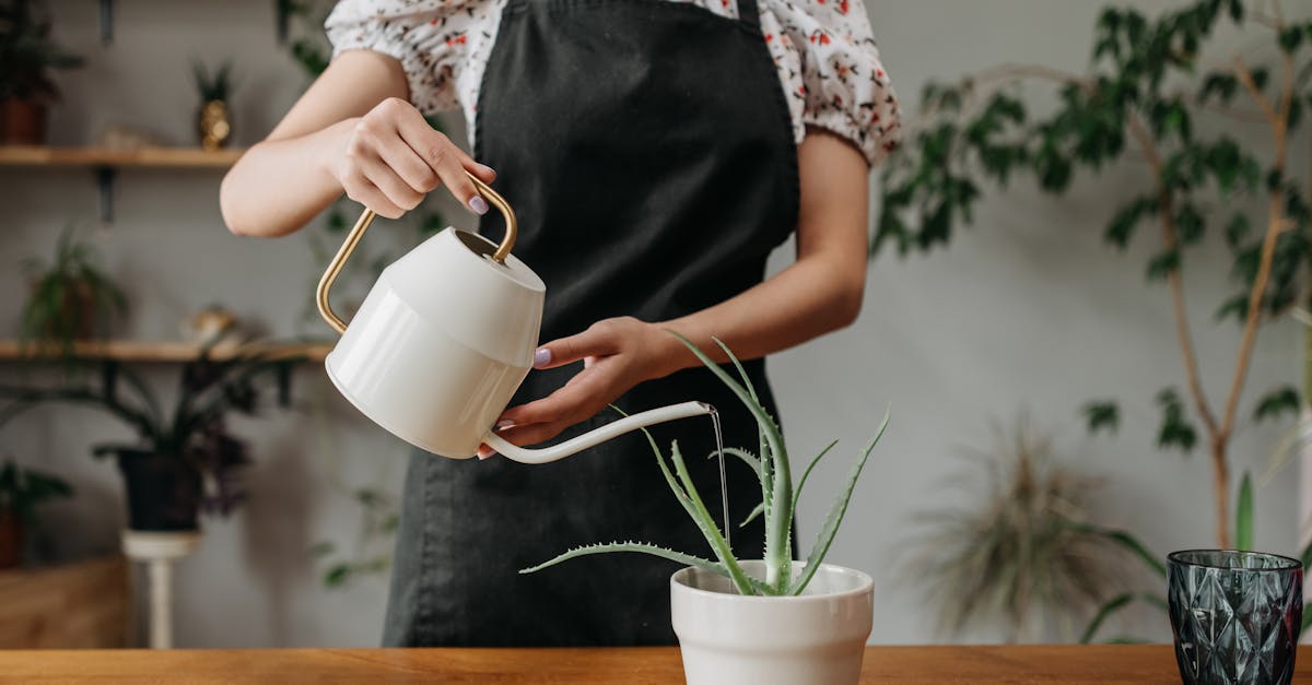 découvrez des conseils pratiques et des idées innovantes pour adopter un mode de vie durable. apprenez à réduire votre empreinte écologique tout en vivant de manière éthique et responsable.