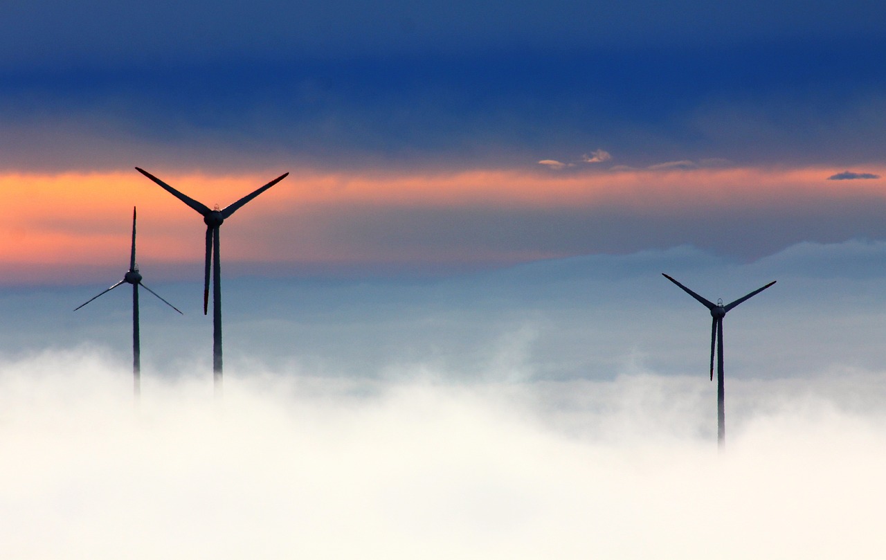 découvrez nos initiatives et conseils pour préserver notre planète de manière durable. engagez-vous pour un avenir écologique et apprenez comment chacun de nous peut contribuer à la protection de l'environnement.