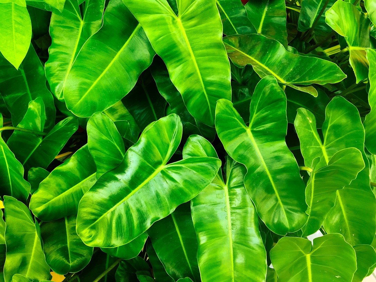découvrez l'impact environnemental des activités humaines et les mesures à prendre pour préserver notre planète. explorez des solutions durables et des pratiques écoresponsables pour minimiser notre empreinte écologique.