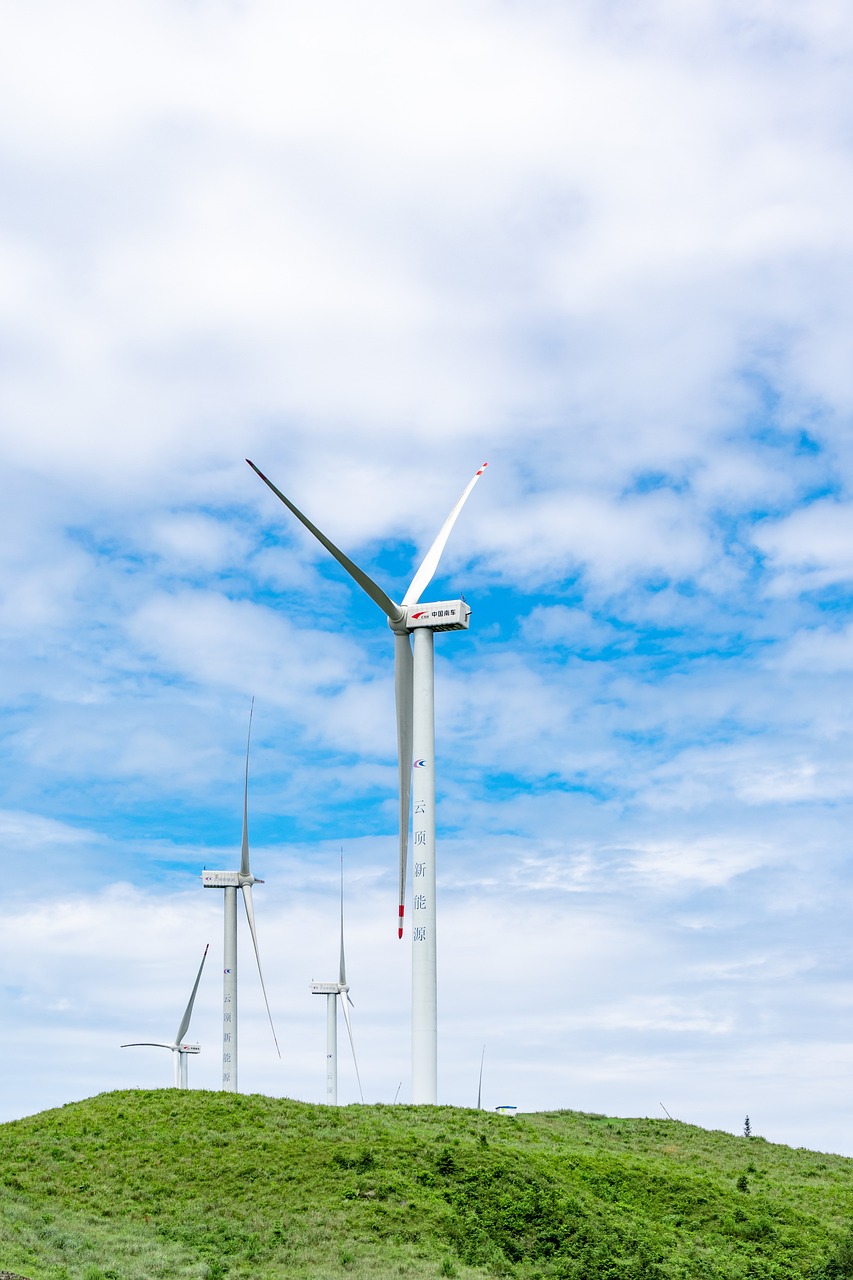 découvrez les principes du développement durable, une approche qui équilibre les besoins économiques, sociaux et environnementaux, assurant un avenir meilleur pour les générations futures.