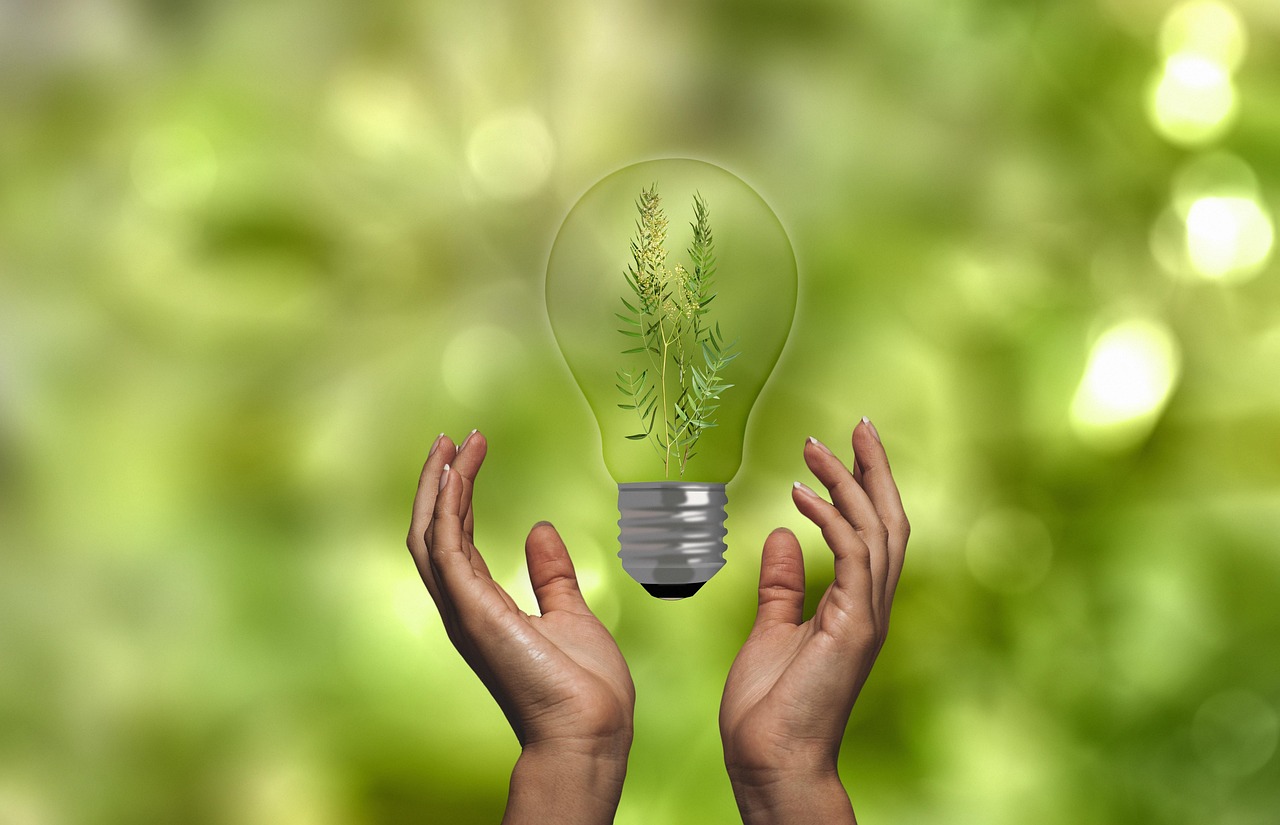 découvrez l'importance des ressources durables pour un avenir respectueux de l'environnement. explorez les solutions innovantes et les pratiques écoresponsables qui contribuent à la préservation de notre planète.