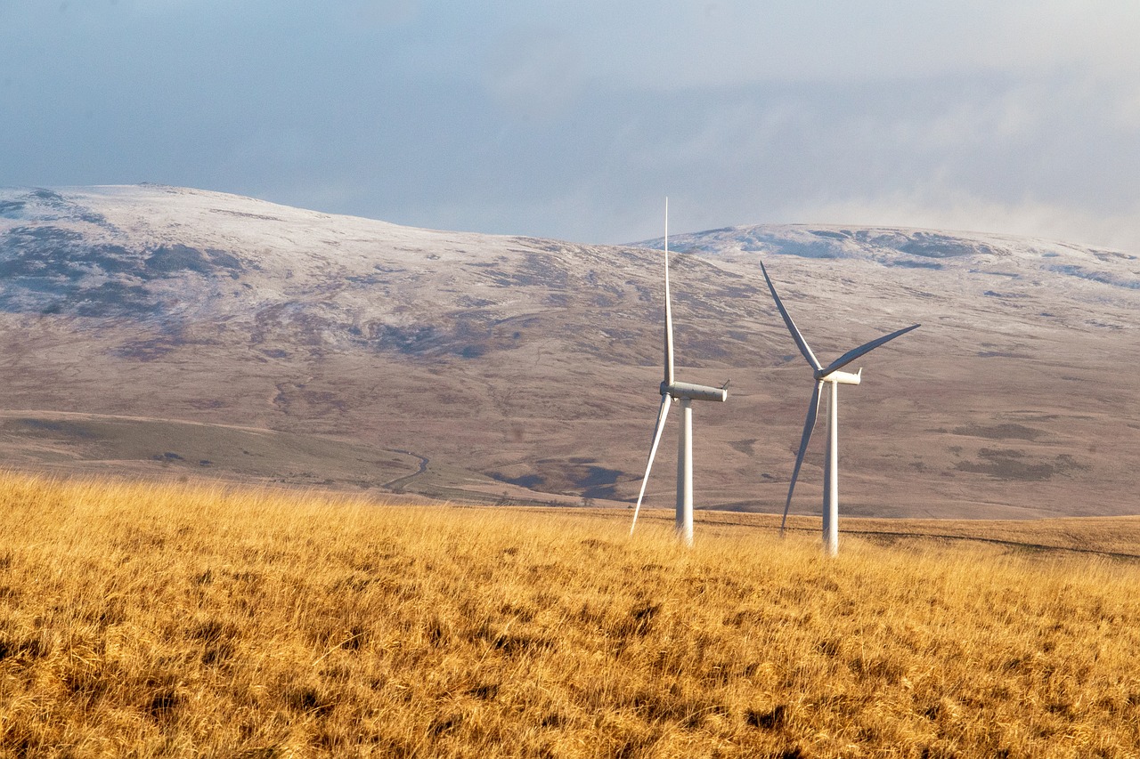 découvrez comment intégrer des solutions d'énergie renouvelable dans votre maison pour réduire votre empreinte écologique et économiser sur vos factures d'électricité.
