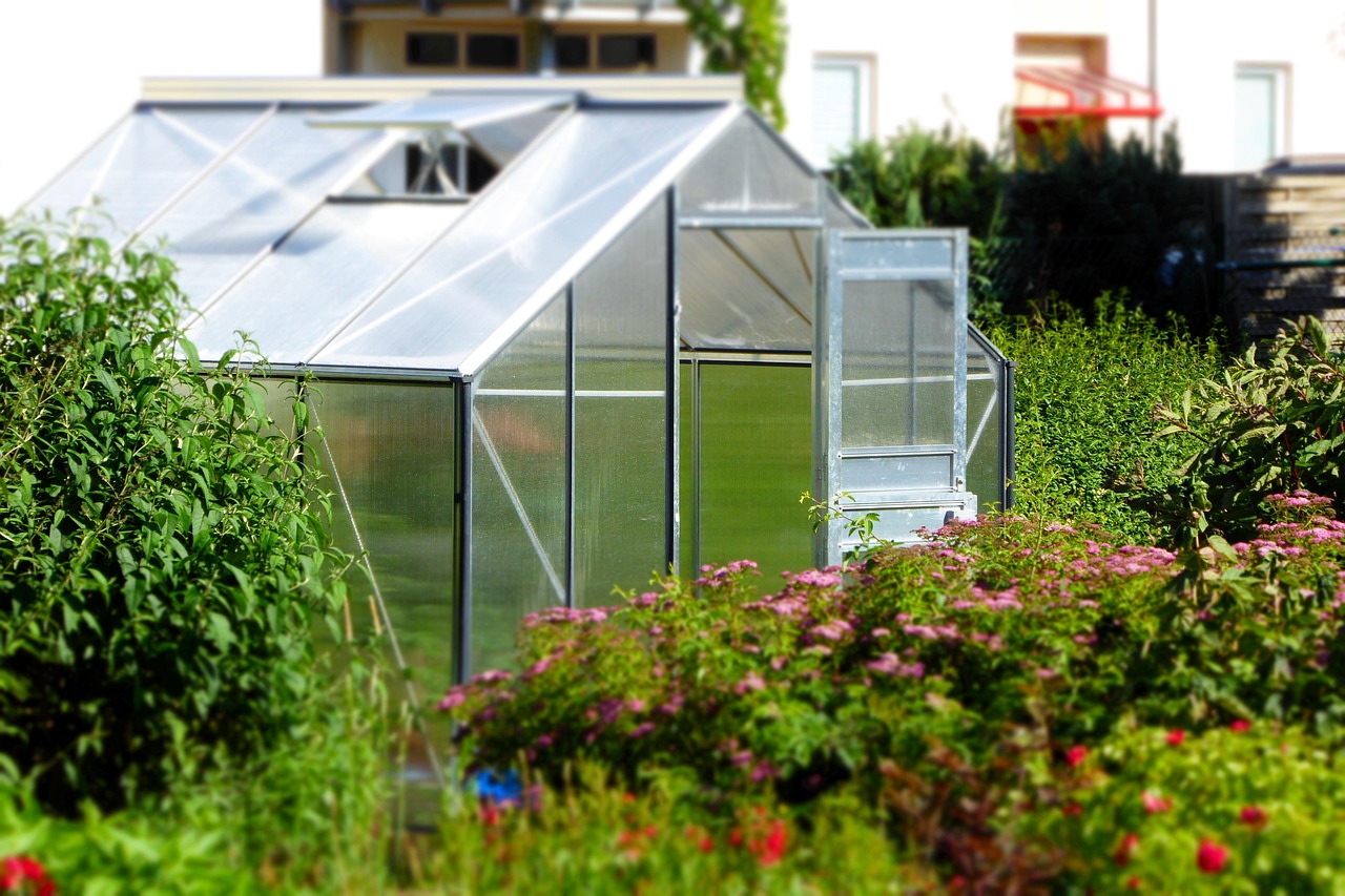 découvrez notre serre durable, conçue pour allier écologie et innovation. cultivez vos plantes tout en respectant l'environnement grâce à nos solutions de jardinage écoresponsables.