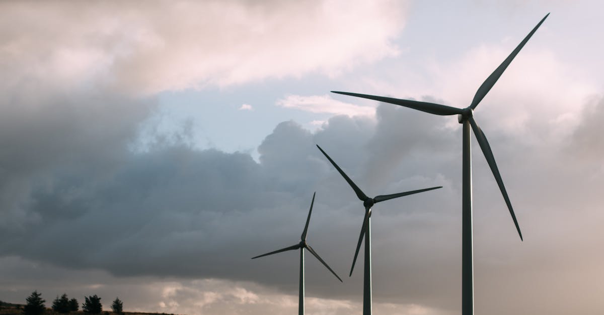 découvrez comment les éoliennes transforment l'énergie du vent en électricité durable. apprenez les avantages, le fonctionnement et l'impact des parcs éoliens sur l'environnement et l'économie.