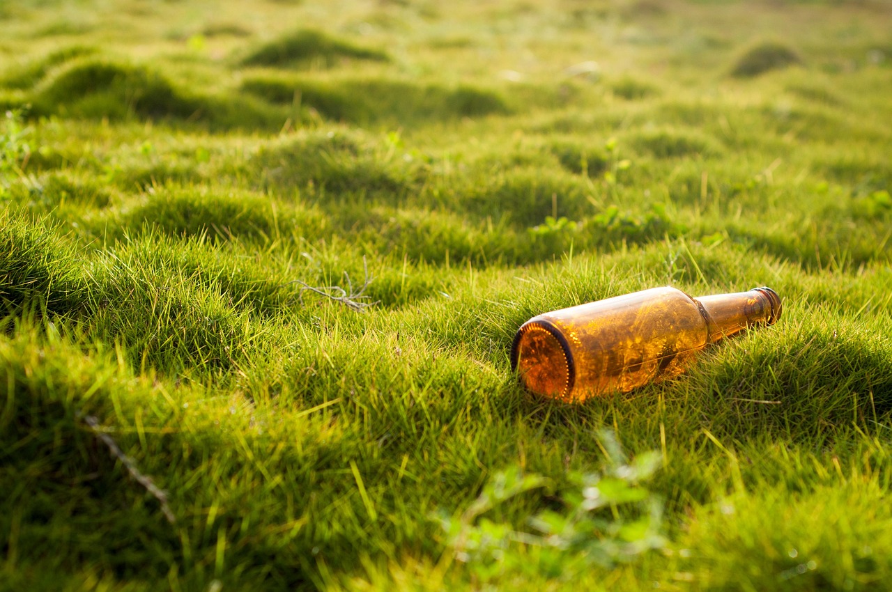 découvrez des stratégies efficaces de protection de l'environnement pour préserver notre planète. apprenez comment réduire votre empreinte écologique, soutenir la biodiversité et adopter des pratiques durables au quotidien.