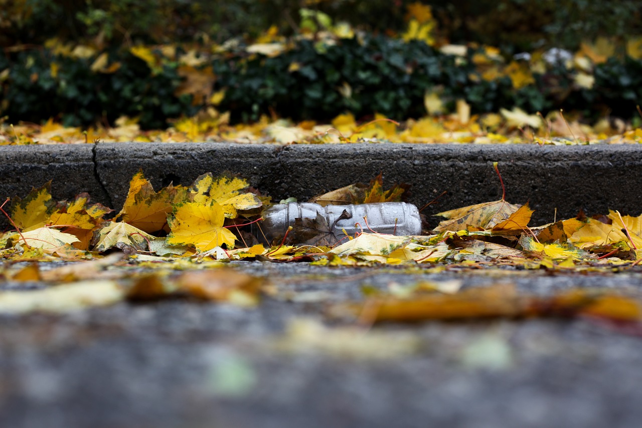 découvrez le mouvement zéro déchet qui vise à réduire nos déchets quotidiens et à adopter un mode de vie plus durable. apprenez des astuces pratiques et des alternatives écologiques pour minimiser votre impact sur l'environnement tout en préservant votre bien-être.