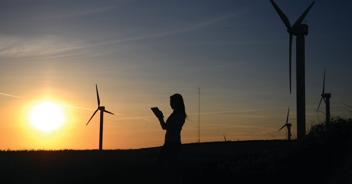 découvrez comment la durabilité transforme notre avenir. explorez des solutions respectueuses de l'environnement, des pratiques éthiques et des innovations qui protègent notre planète pour les générations futures.