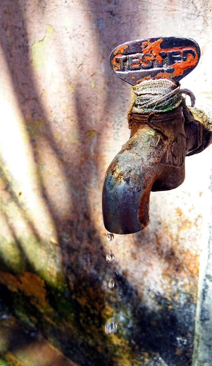 découvrez des stratégies essentielles pour la conservation de l'eau et apprenez comment contribuer à la préservation de cette précieuse ressource. explorez des conseils pratiques pour économiser l'eau au quotidien et participer à un avenir durable.