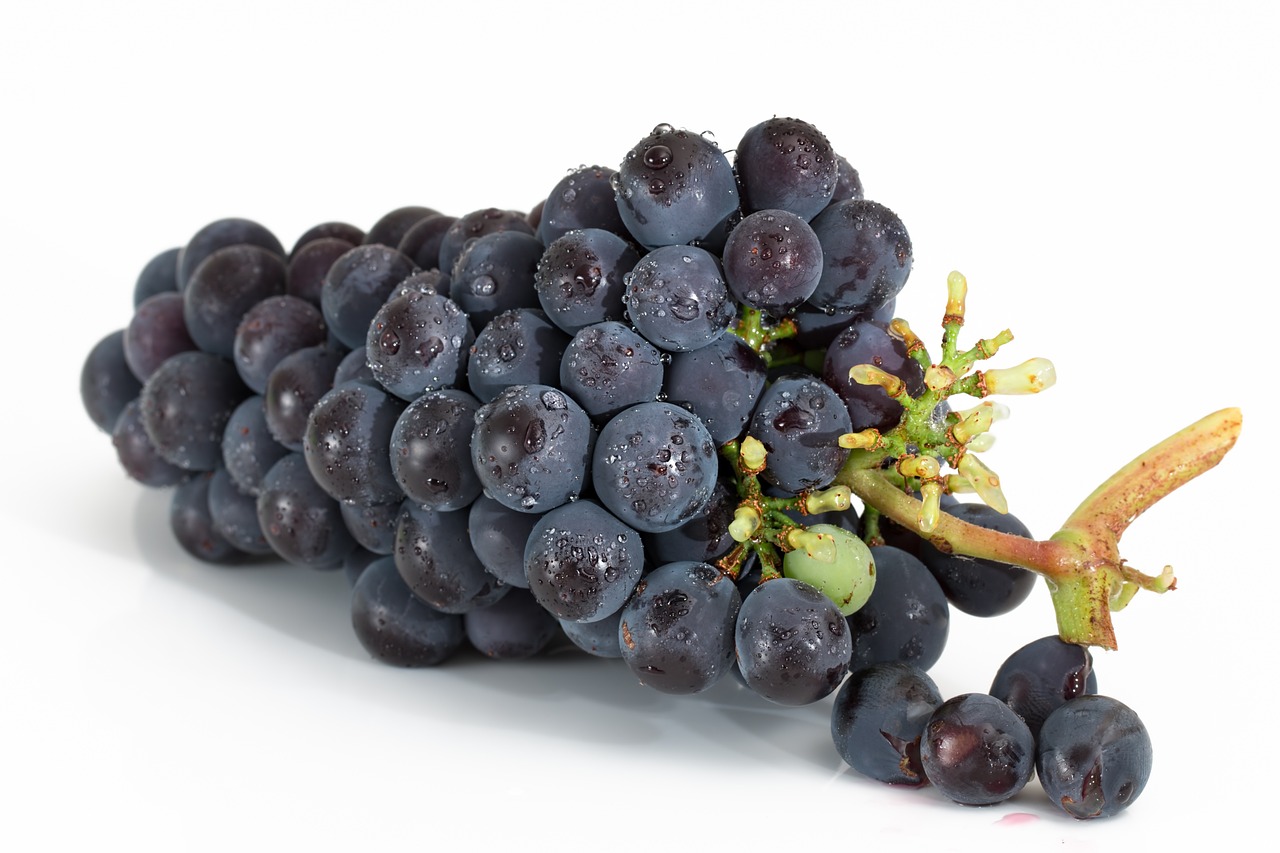 découvrez les avantages des aliments biologiques pour votre santé et votre bien-être. apprenez comment une alimentation biologique peut améliorer votre énergie, renforcer votre système immunitaire et contribuer à un mode de vie plus durable.