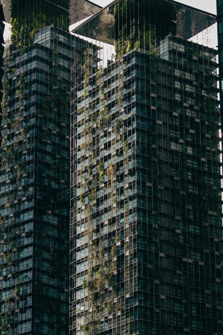 découvrez l'univers de l'alimentation durable : des recettes savoureuses, des astuces pour réduire votre empreinte écologique et des conseils pour une consommation responsable. adoptez un mode de vie respectueux de l'environnement tout en savourant des plats délicieux.