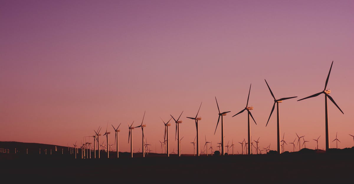 découvrez l'importance de la durabilité pour notre planète. explorez des solutions et des pratiques écologiques qui préservent l'environnement tout en favorisant un développement responsable et éthique.