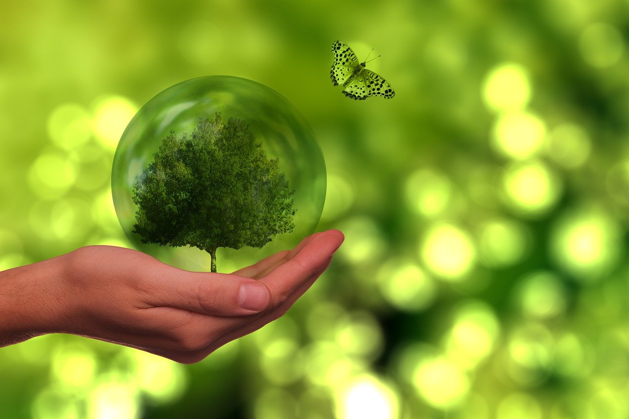 découvrez l'importance de la durabilité alimentaire : explorez des pratiques innovantes pour une agriculture responsable, la réduction du gaspillage et des choix alimentaires éthiques qui préservent notre planète.