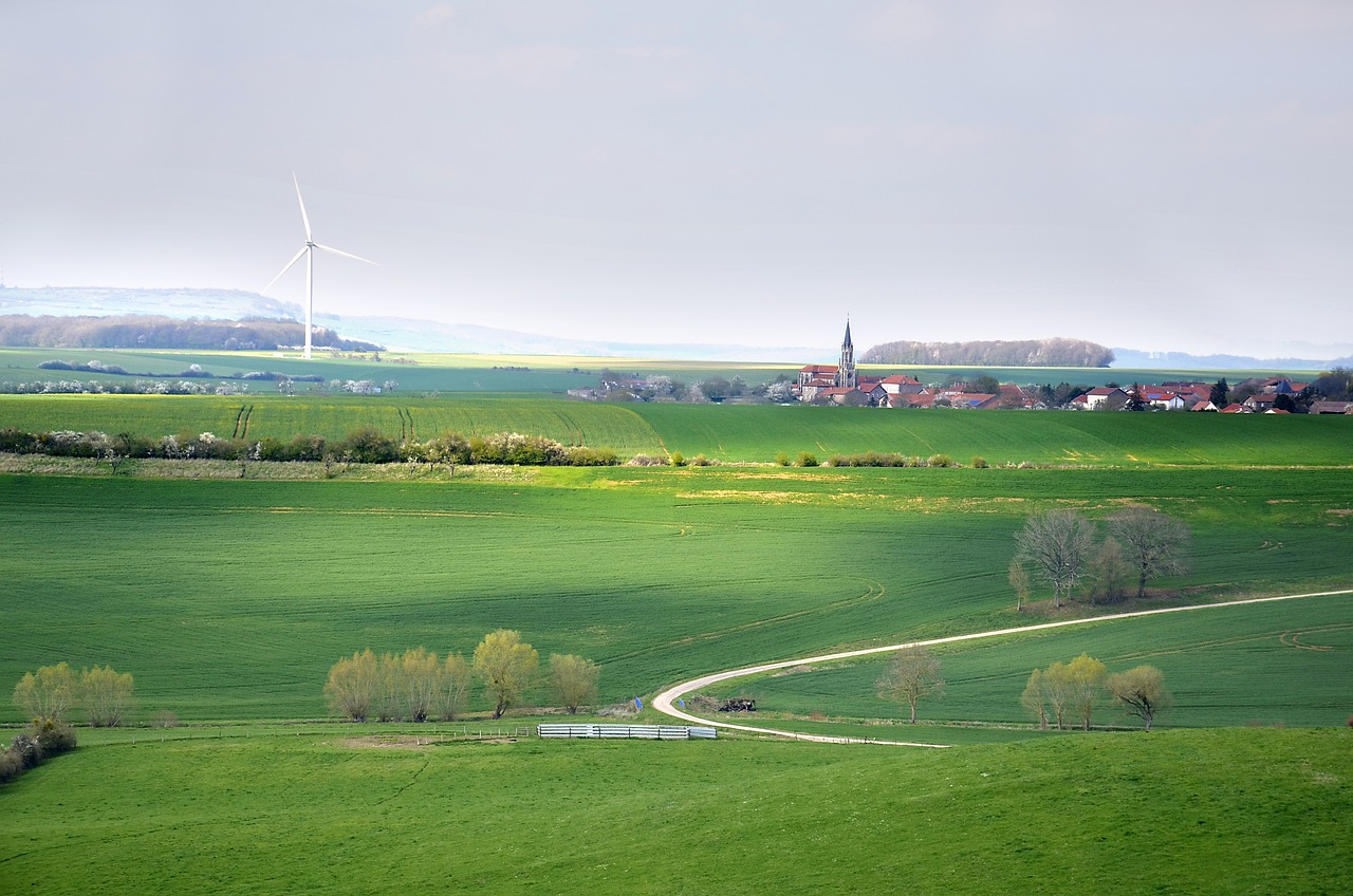 découvrez les principes du développement durable, une approche essentielle pour équilibrer la croissance économique, la protection de l'environnement et le bien-être social. apprenez comment mettre en œuvre des pratiques durables pour un avenir meilleur.