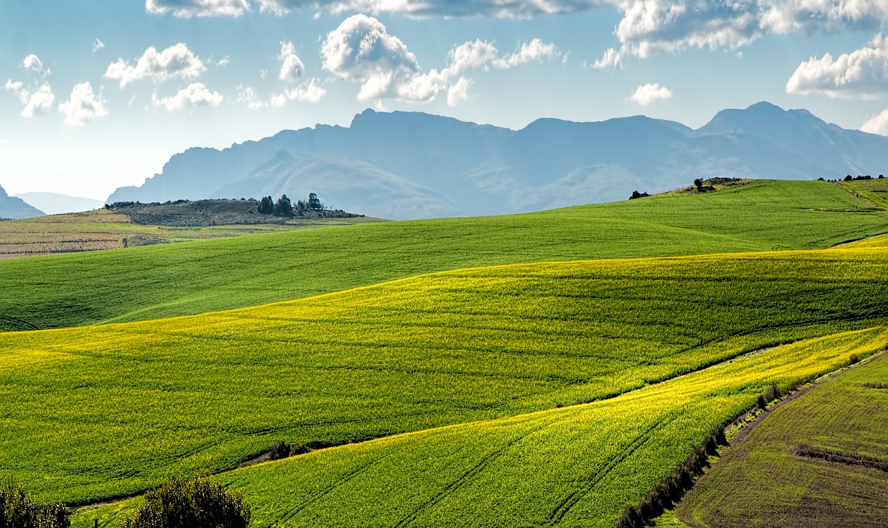 découvrez l'agriculture durable, une approche éco-responsable qui préserve l'environnement tout en garantissant la sécurité alimentaire. apprenez comment cette méthode innovante combine techniques agricoles traditionnelles et technologies modernes pour un avenir plus vert.