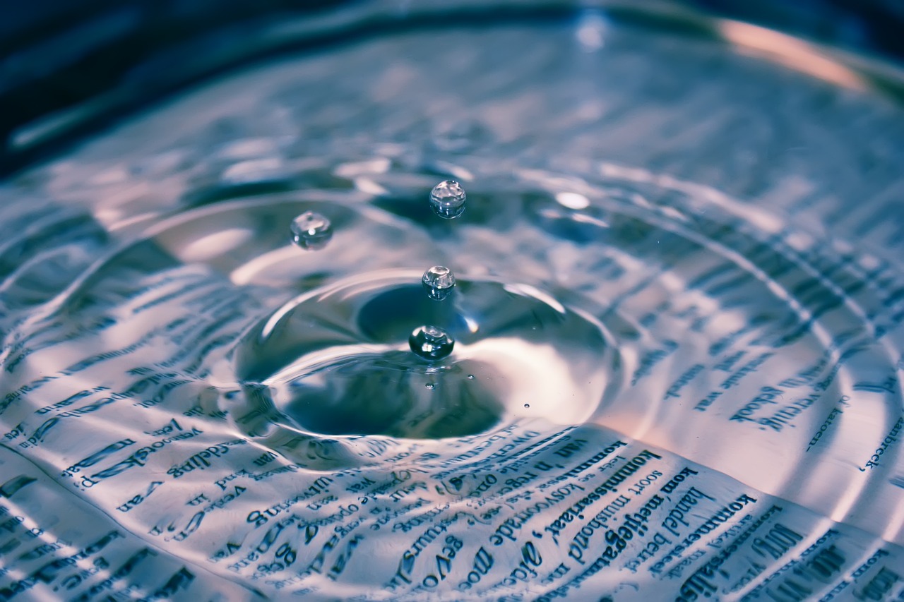 découvrez l'impact environnemental des activités humaines : enjeux, solutions et perspectives pour un avenir durable.