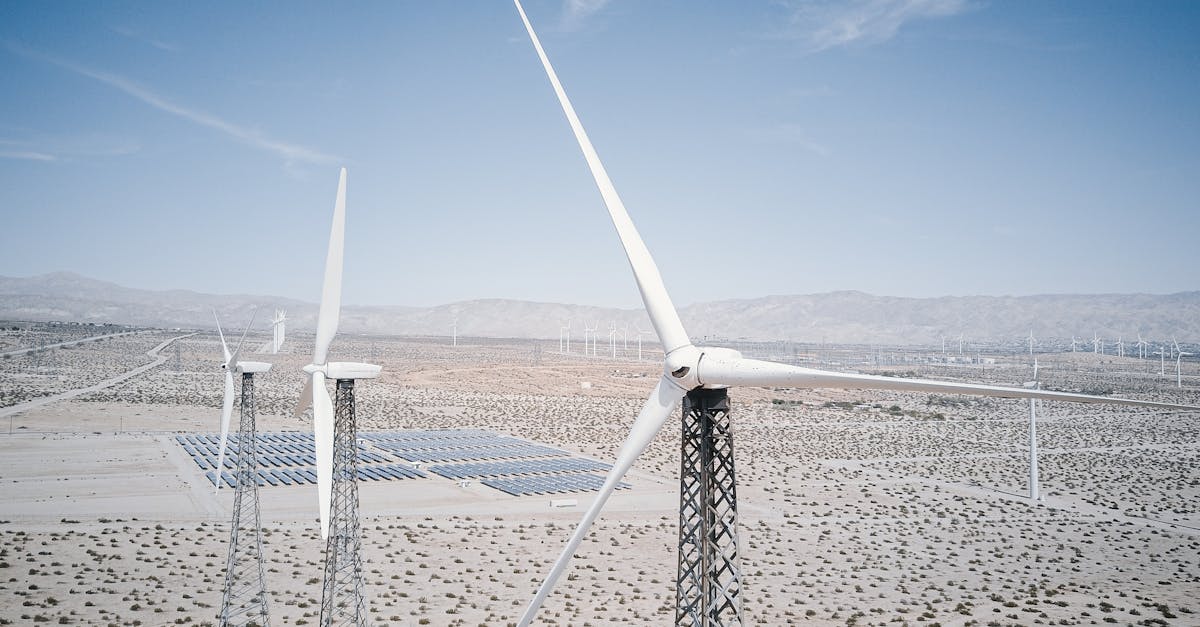 découvrez le développement durable : une approche intégrée visant à concilier croissance économique, équité sociale et préservation de l'environnement pour un avenir meilleur. apprenez-en plus sur les initiatives et les pratiques qui façonnent un monde durable.
