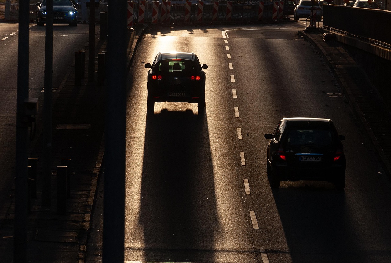 découvrez l'écologie urbaine, une discipline qui explore les interactions entre les organismes vivants et leur environnement en milieu urbain. apprenez comment la planification durable, la biodiversité et les espaces verts contribuent à améliorer la qualité de vie en ville.