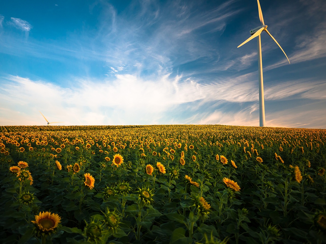 découvrez l'énergie éolienne, une source d'énergie renouvelable propre et durable qui transforme la force du vent en électricité. apprenez-en davantage sur ses avantages, son impact environnemental et les technologies innovantes qui propulsent cette industrie vers l'avenir.