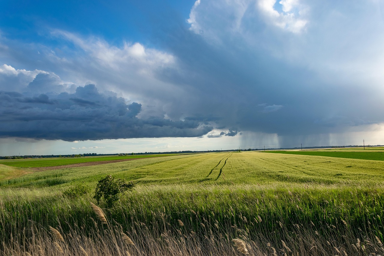 découvrez les pratiques de l'agriculture durable, une approche innovante qui préserve l'environnement tout en garantissant des rendements agricoles optimaux. apprenez comment cette méthode favorise la biodiversité, réduit l'usage des ressources et contribue à un avenir alimentaire responsable.