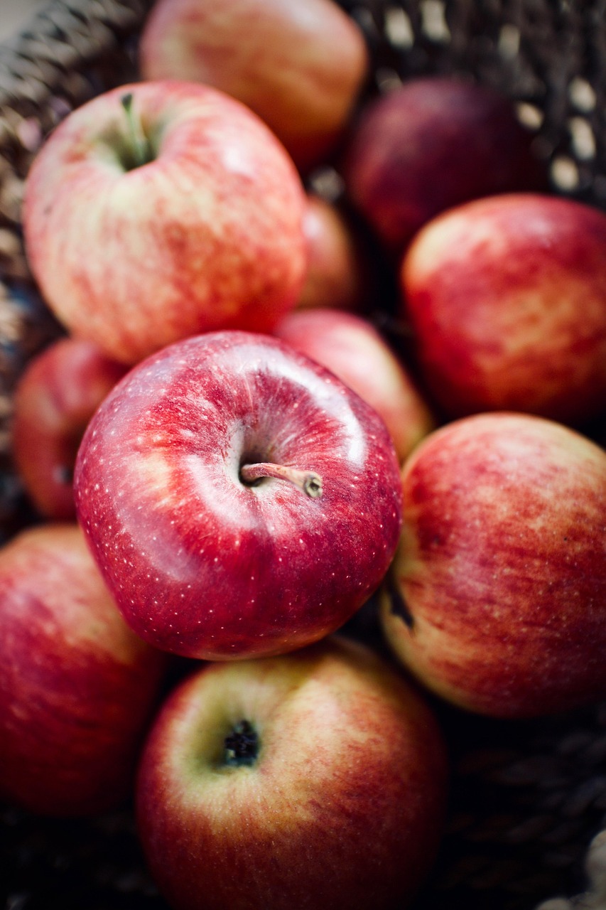 découvrez l'agriculture biologique : une méthode de culture respectueuse de l'environnement, favorisant la biodiversité et la santé des sols. apprenez comment elle contribue à un avenir durable tout en offrant des produits sains et savoureux.