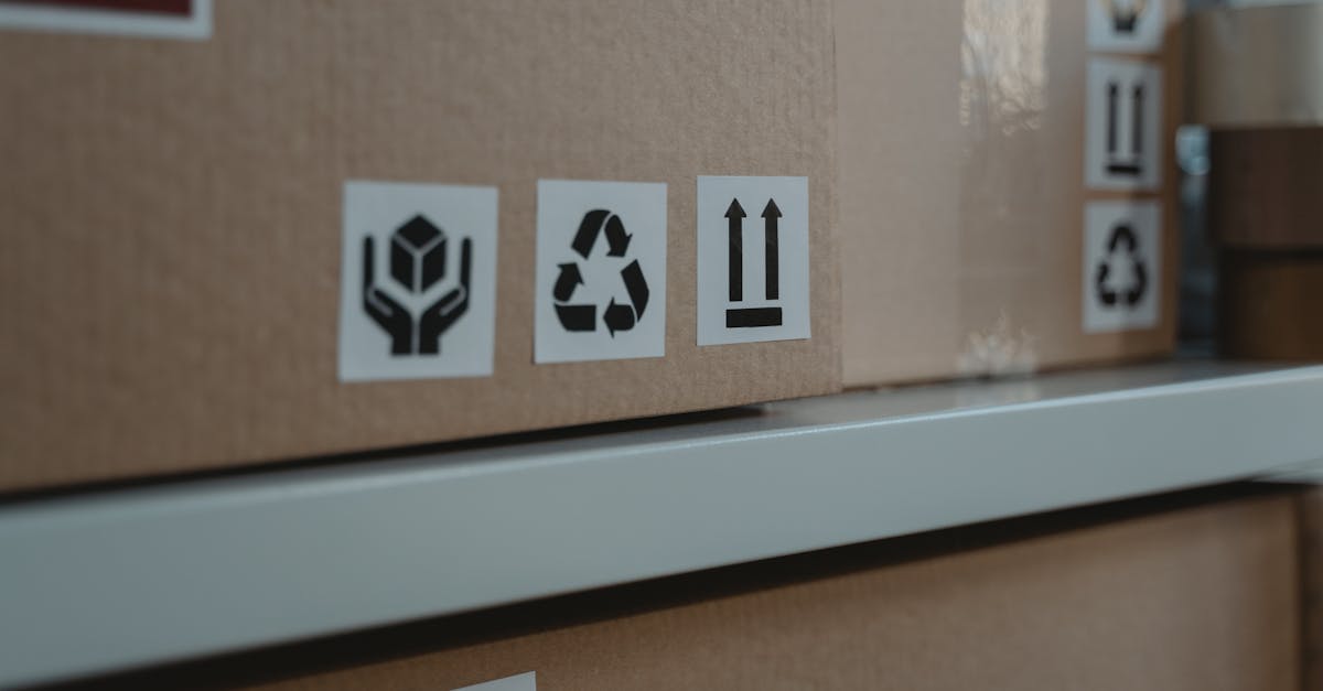 découvrez comment une chaîne d'approvisionnement durable peut transformer votre entreprise. apprenez les pratiques écologiques et éthiques qui améliorent l'efficacité, réduisent les coûts et renforcent votre engagement envers la planète.