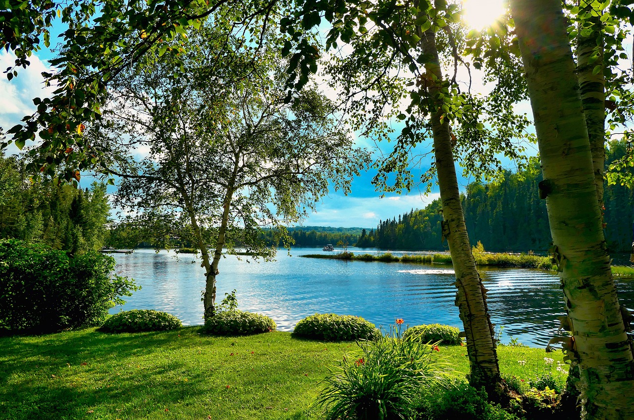 découvrez l'importance de la biodiversité et son rôle dans l'équilibre des écosystèmes. apprenez comment la protection de la diversité des espèces et des habitats contribue à la santé de notre planète et à notre bien-être.