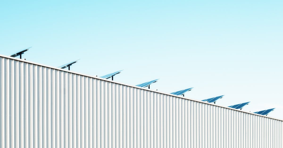 découvrez des solutions durables pour un avenir meilleur. explorez des pratiques écologiques, des produits écoresponsables et des initiatives qui préservent notre planète tout en améliorant notre qualité de vie.