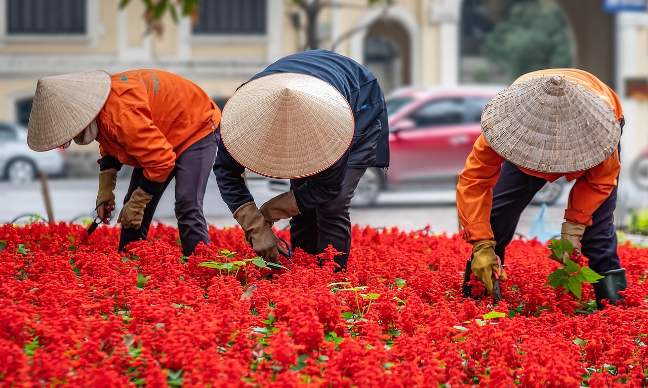 découvrez les principes de la permaculture urbaine pour créer un jardin écologique et productif en milieu citadin, favorisant la biodiversité et la durabilité.