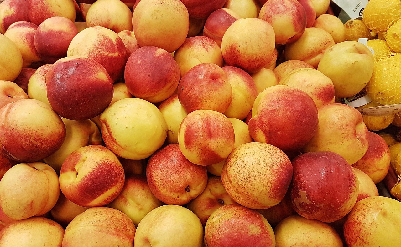découvrez les multiples bienfaits des aliments biologiques pour votre santé et l'environnement. apprenez comment une alimentation bio peut améliorer votre bien-être, renforcer votre système immunitaire et favoriser une agriculture durable.