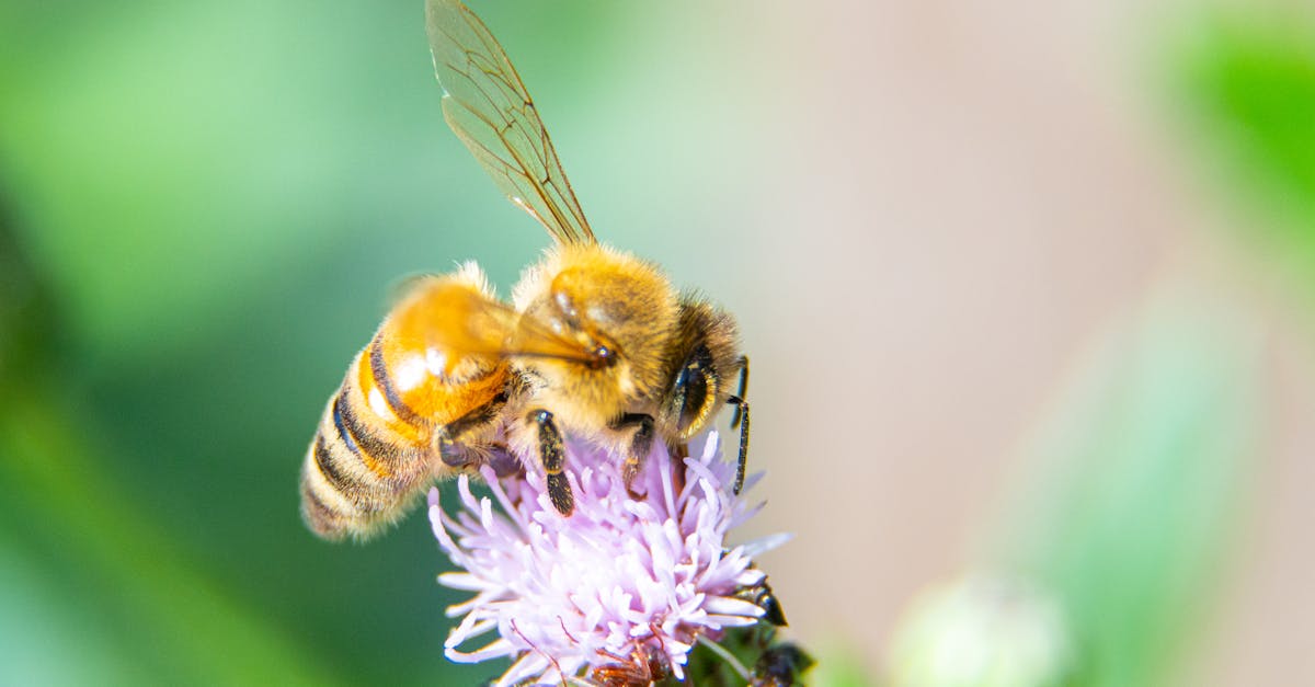 découvrez nos services de consultation environnementale, conçus pour vous aider à comprendre et à optimiser votre impact écologique. nous proposons des analyses, des recommandations et des solutions durables pour les entreprises et les particuliers soucieux de l'environnement.