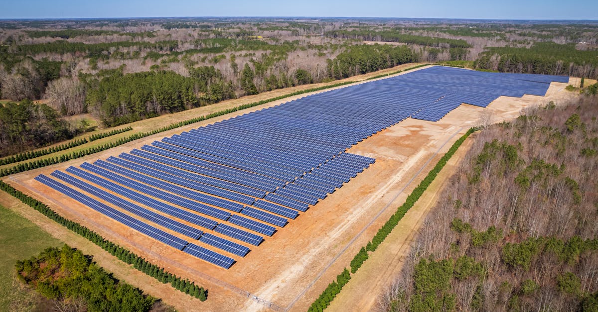 découvrez tout sur l'empreinte carbone, son impact sur l'environnement et les pratiques durables pour la réduire. apprenez à évaluer et optimiser votre empreinte écologique pour un avenir plus vert.
