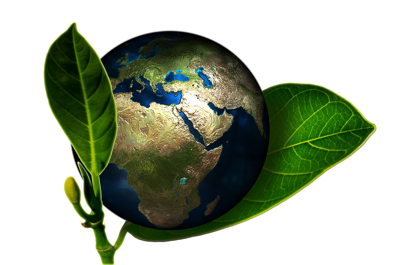 découvrez l'impact environnemental des activités humaines et les solutions pour préserver notre planète. informez-vous sur les enjeux écologiques et les gestes à adopter pour un avenir durable.