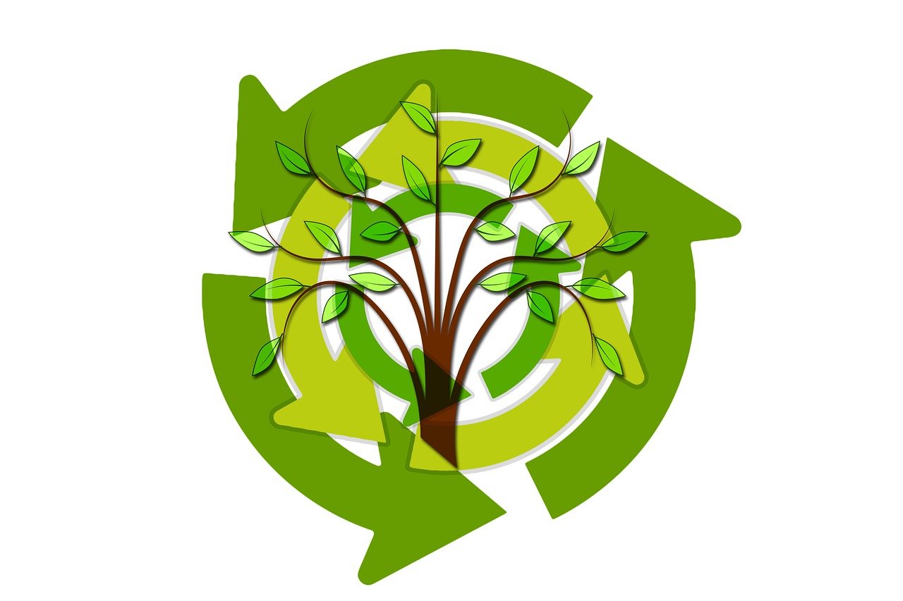 découvrez l'importance de la durabilité et comment adopter des pratiques respectueuses de l'environnement pour un avenir meilleur. explorez des solutions durables, des initiatives écologiques et des conseils pour vivre de manière responsable.