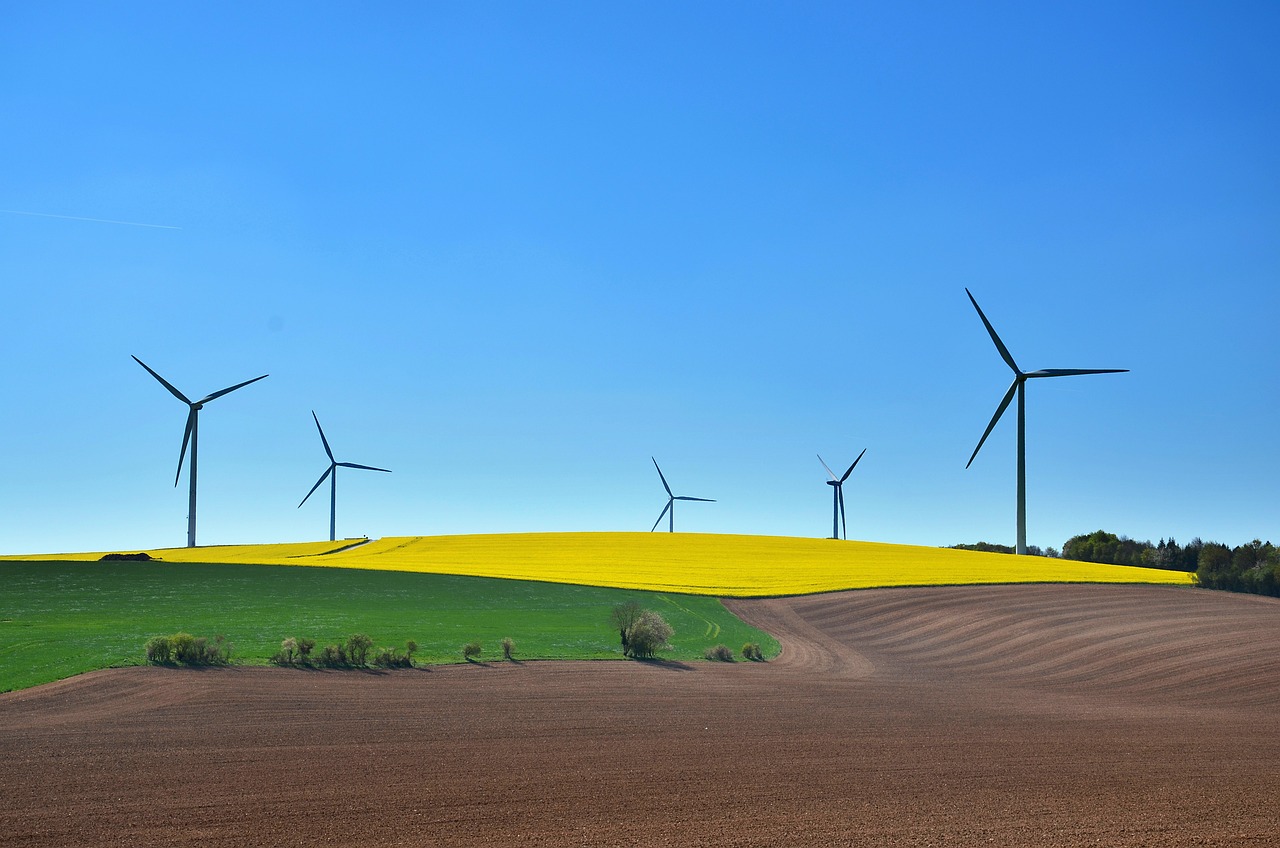 découvrez l'importance de la consommation durable et comment elle contribue à préserver notre planète. apprenez des conseils pratiques pour adopter un mode de vie plus écoresponsable et réduire votre empreinte écologique.